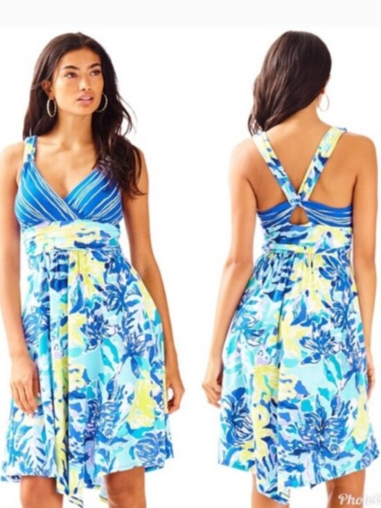 Lilly Pulitzer Dresses & Skirts - Lilly Pulitzer Hadley Dress In Indigo Ylang Ylang Love Size L NWT